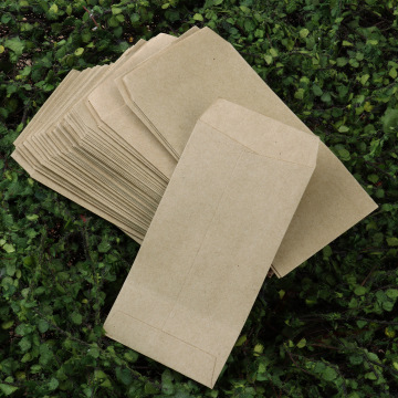 50Pcs Kraft Paper Storage Bags Vegetables Crops Seeds Organizer Sacks Waterproof Protect Packets Reusable Store Container Pouch