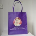 500pcs/lot Stylish Non-woven Tote Bags Printed Your Company's Logo Recyclable Grocery Totes for Exhibition Events Gift Stores