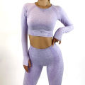 2 Pcs Sports Suits Autumn Seamless Yoga Sets Woman Yoga Leggings Thumb Hole Workout Crop Tops Fitness Clothing Sportswear