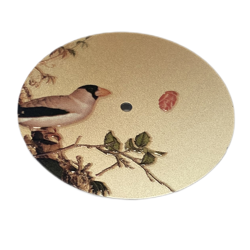 Early spring view watch dial