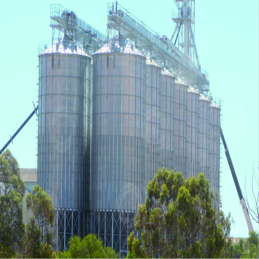 Grain Quality Testing Silos