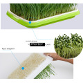 Nursery Pot Seedling Plastic Double Layer Arc Soilless Cultivation Tray Green Tray For Gardening Bonsai Cat Grass Hydroponics