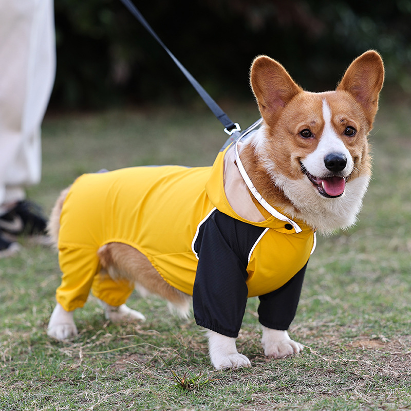 Dog Raincoat