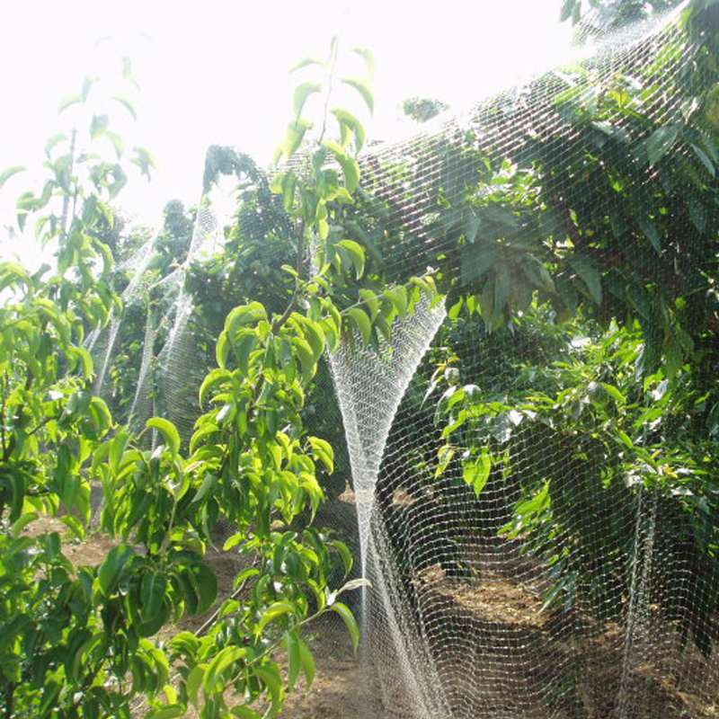 4/6/8/10/15/20/30cm Anti Bird Catcher Netting Pond Net Fishing Net Traps Crops Fruit Tree Vegetables Flower Garden Mesh Protect