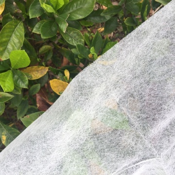 Hot Non-woven Fabrics 2x5m Insect Organic Net Garden Greenhouse Frosty Cover Crop Fruit Tree Flower Plant Pond Protective 2x5m.
