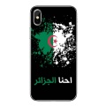 Algeria-flag-D-07