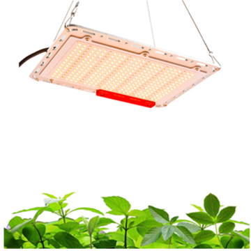 Wenyi updated 120w full led spectrum grow lamps