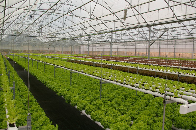 PC board greenhouse