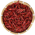 dried chilli chili pure natural bonsai sichun chilli pepper Free shipping