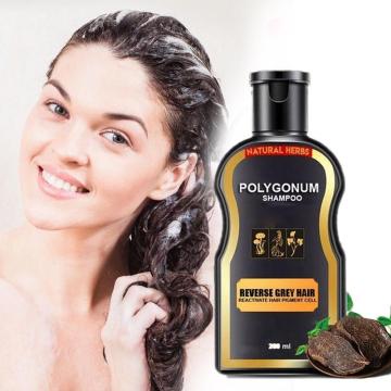 200ml Polygonum Shampoo Ginger Bar Hair Regrowth Hair Loss Treatment Moisturizing Refreshing Oil Control Black Hair Care