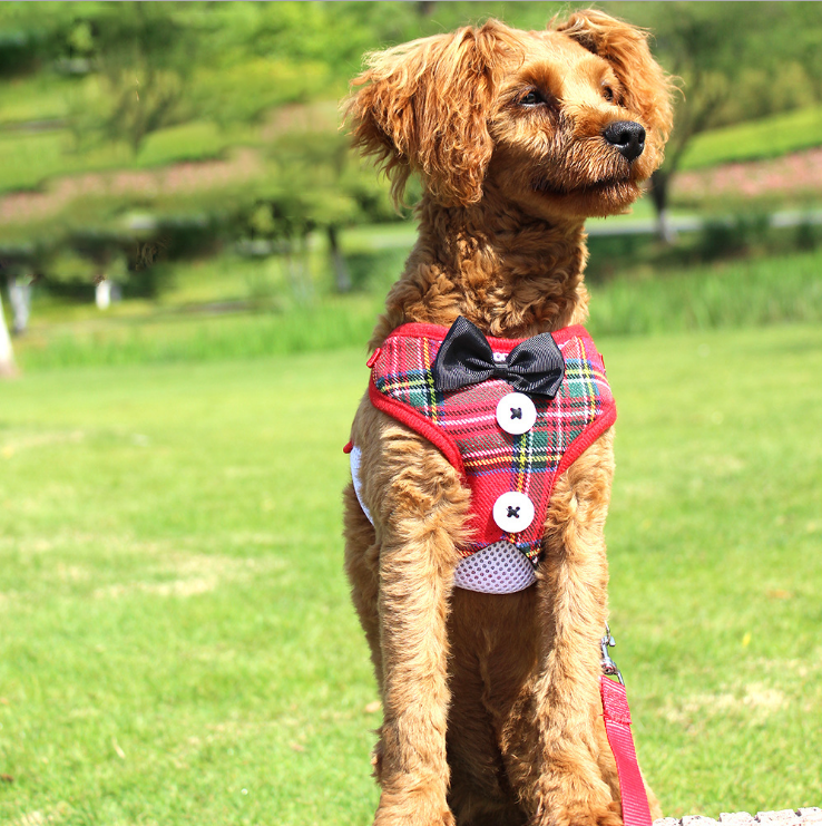 Dog Harness Hiking