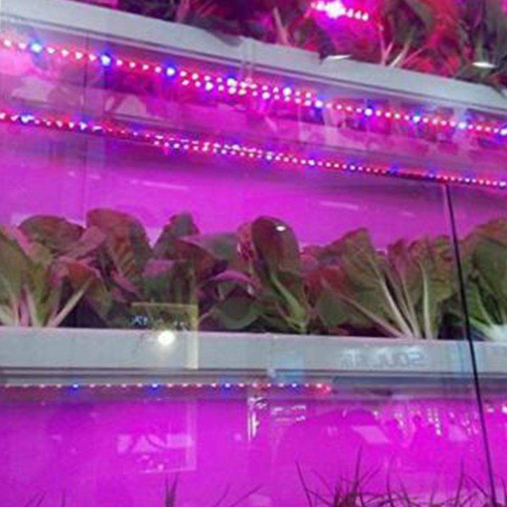 5M 12V LED Plant Grow Strip Light Full Spectrum Creative Rope Light for Vegetable Cultivation Horticulture Industrial Seedling