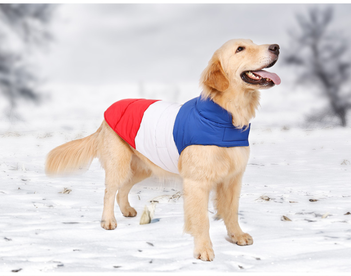 Dog Jacket Canada