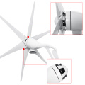 White/Black Wind Generator 12V/24V/48V 5000W 6 Blade Wind Turbine Generator Home Wind Power Generator Windmill