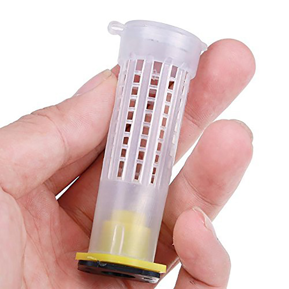 Bee rearing kit complete system new bee queen cages cell box plastic accessories apiculture beekeeper protection cover supplies