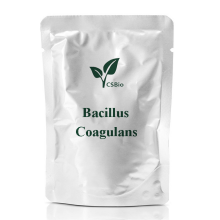 Probiotics Powder of Bacillus Cagulans for Food Additives