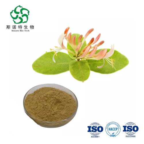 Hot Selling Honeysuckle Extract Powder Chlorogenic Acid for Sale, Offer Hot Selling Honeysuckle Extract Powder Chlorogenic Acid