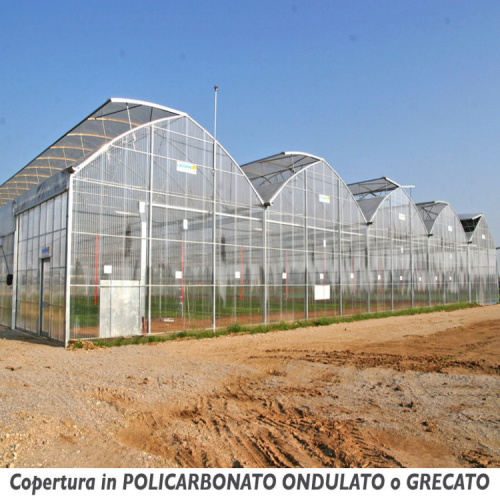 Single Span Plastic Film Greenhouse For Plant Manufacturers and Single Span Plastic Film Greenhouse For Plant Suppliers