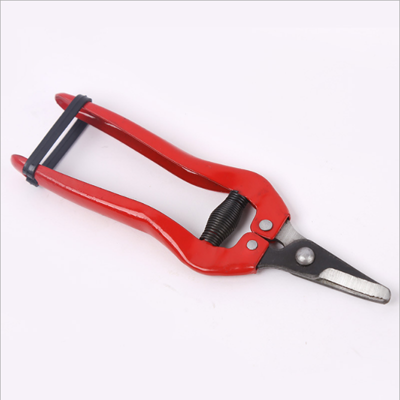 Sharp Pruning Shear spring Scissor Steel Grafting Bonsai Tool Knife Fruit Tree Flowers Branch Pruner Trimmer Garden cutting Tool