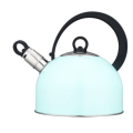 3.0L modern tea kettle