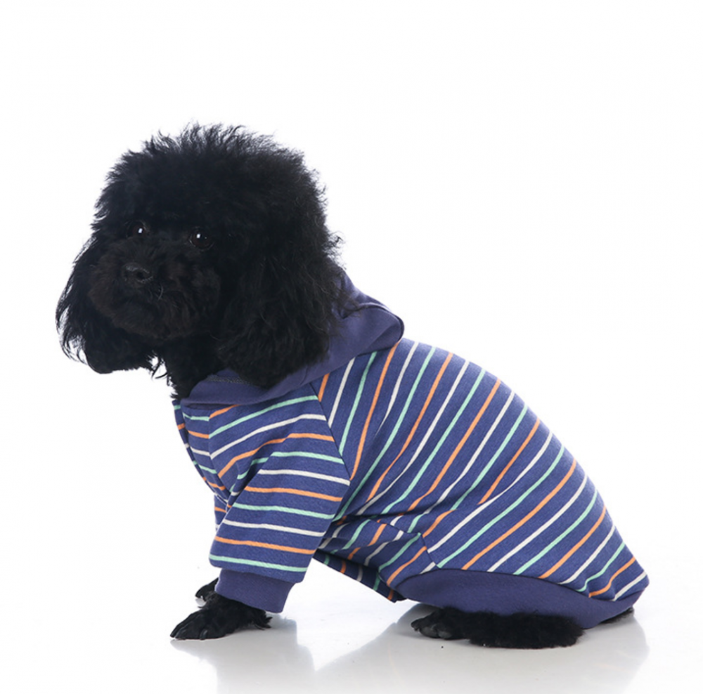 Dog Hoodie Pitbull