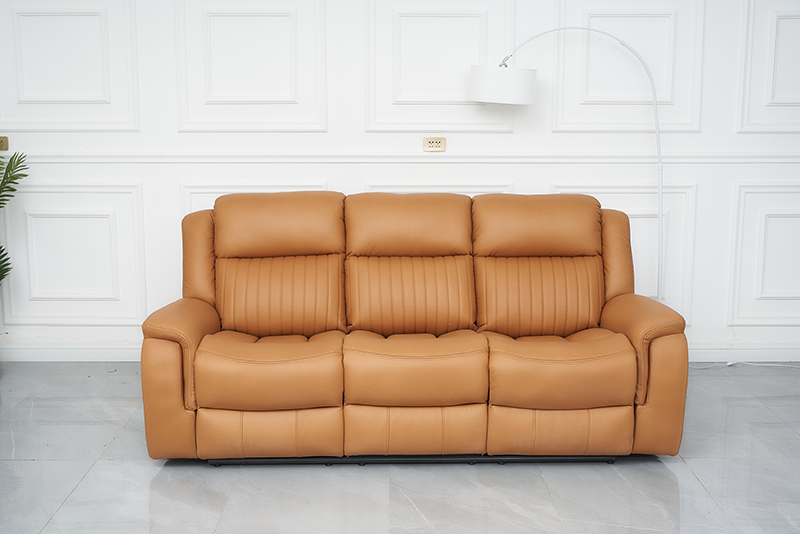 Recliner Sofa 2301