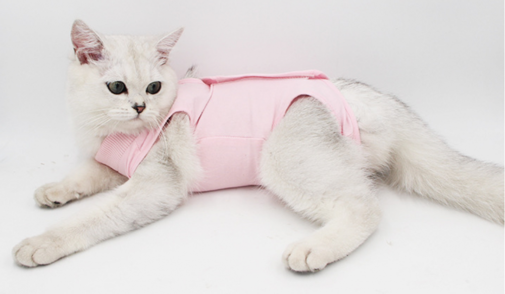 Pet Clothing