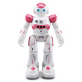 Pink RC Robot