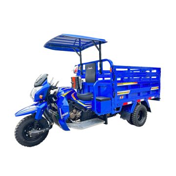 70 Ruiteng With Roofshed Tricycle