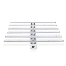 Best 6X6 Led Plant Ligting Grow Light