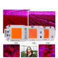 5Pcs Hot Sell AC220v Real Full Spectrum 380-840nm Indoor Instead Sunlight Actual Power 20W 30W 50W DIY LED Grow Light Chip