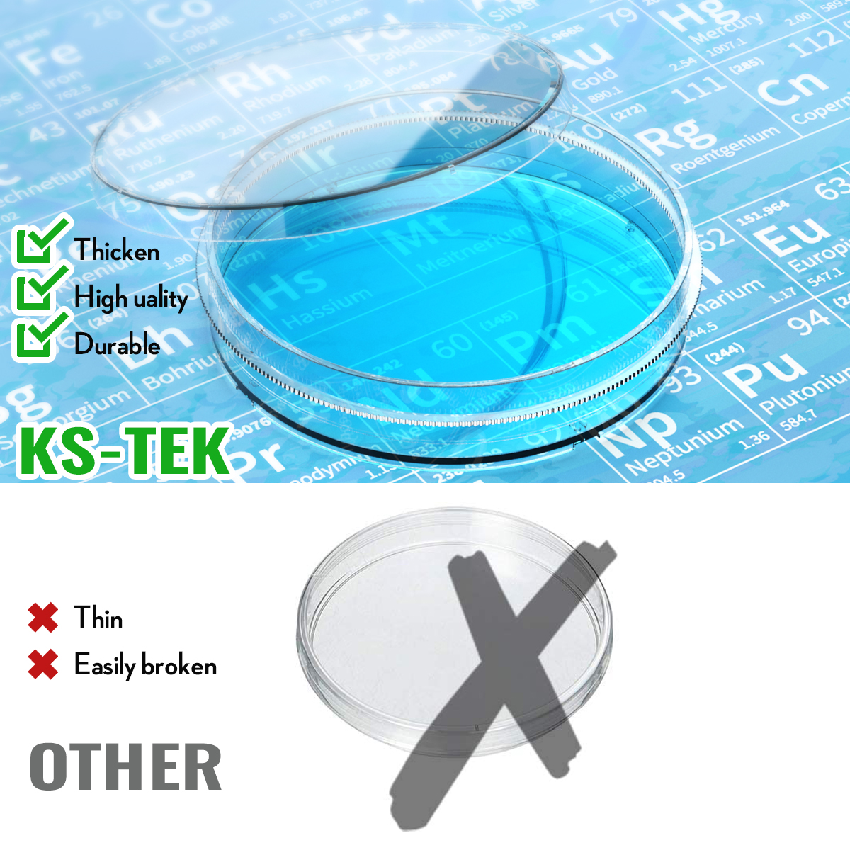 sterile Petri Dish with Lid 60mm, with 2ml Plastic Transfer Pipettes individual package by Ks-Tek 20/Pack