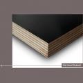 Black Film faced plywood with low price