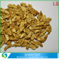 Bulk Sales Extra Light Quarters Walnut Kernels