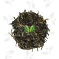 European American Market Spring Maojian Jasmine Tea