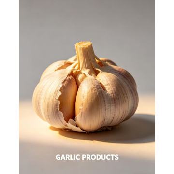 Premium Fresh Garlic Bulbs
