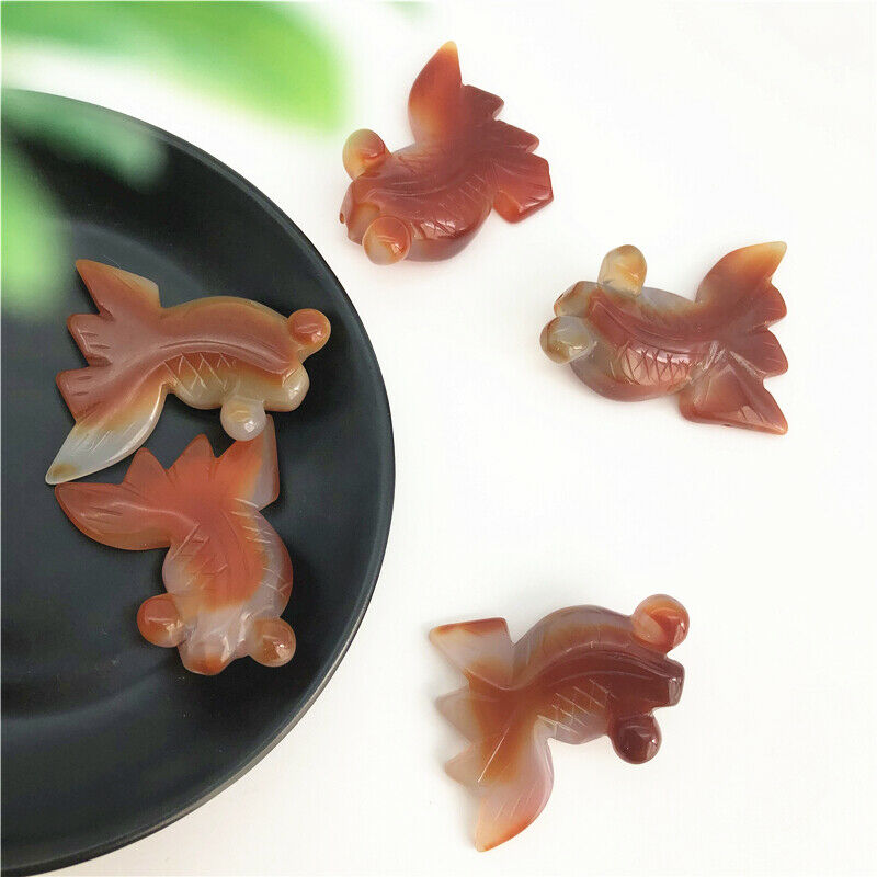 1PC Natural Red Carnelian Agate Golden Fish Sardonyx Crystal Goldenfish Healing Gift Natural Stones and Minerals
