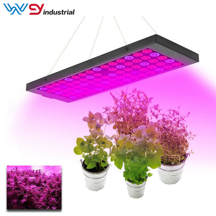 45W led grow lights and seedlings