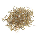 About 380pcs/pack 2*6mm Flat Self-tapping Screws Brass Material Golden Screws DIY Model Making Tools