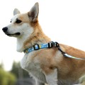 Dog Collar Leash Comfortable Diving Cloth Traction Rope Set Lining Printing Anti-Strangle Walking Training Pet Supplies S-L