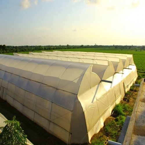 Skyplant Large Multi Span Greenhouse for Agriculture Manufacturers and Skyplant Large Multi Span Greenhouse for Agriculture Suppliers