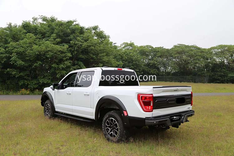 F150 Auto Accessory