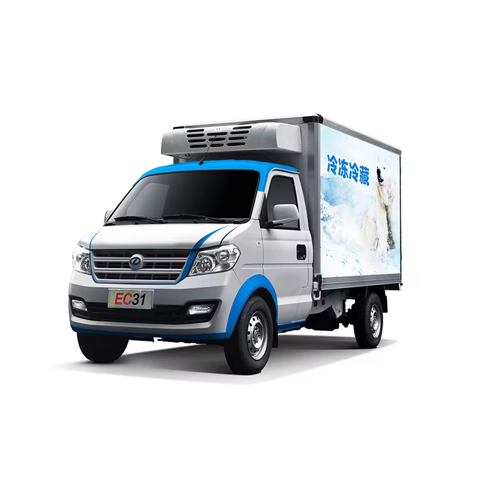 Light truck DFSK EC31