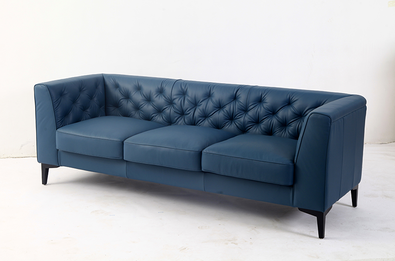 comfortable_classic_leather_sofa_