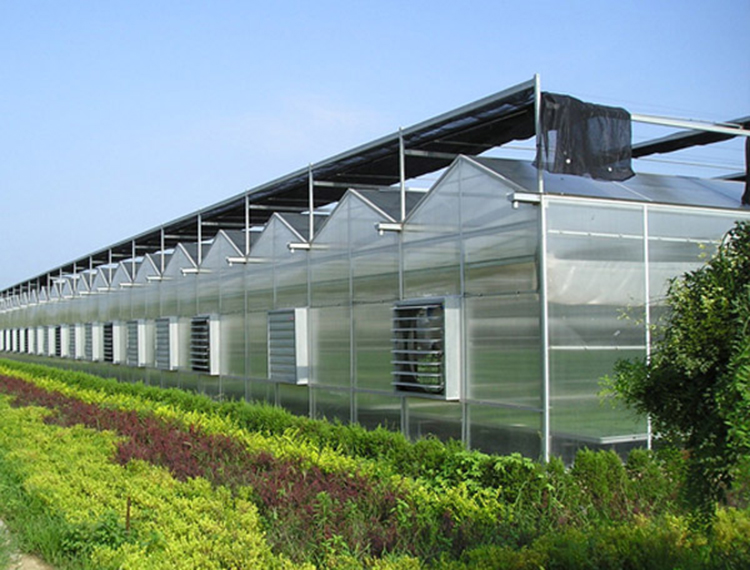 Venlo Multi Span Greenhouse