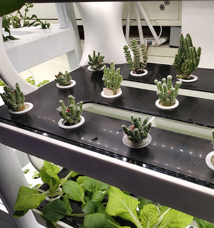 intelligent hydroponic system