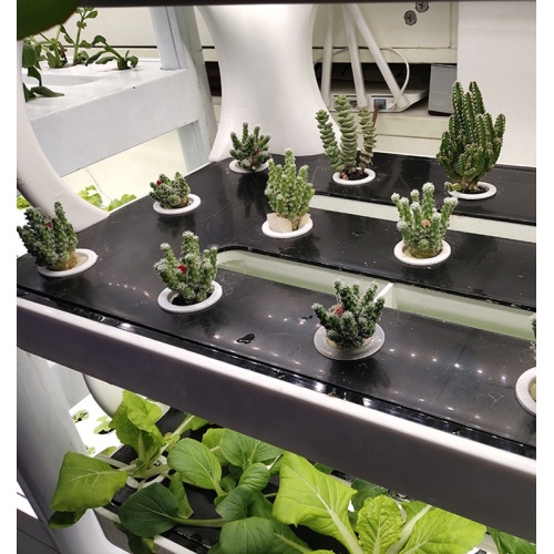 Spectrum smart vertical indoor hydroponic growing system Manufacturers and Spectrum smart vertical indoor hydroponic growing system Suppliers