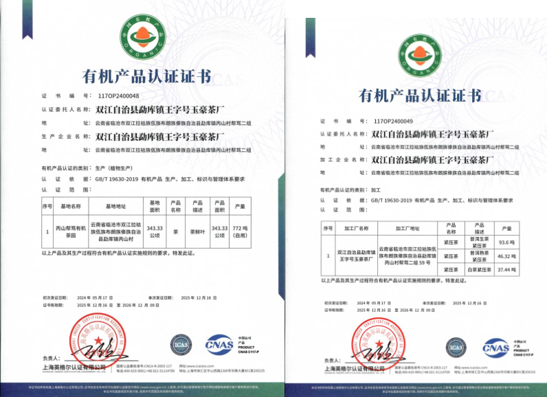 organic-certified-forest-puer-tea