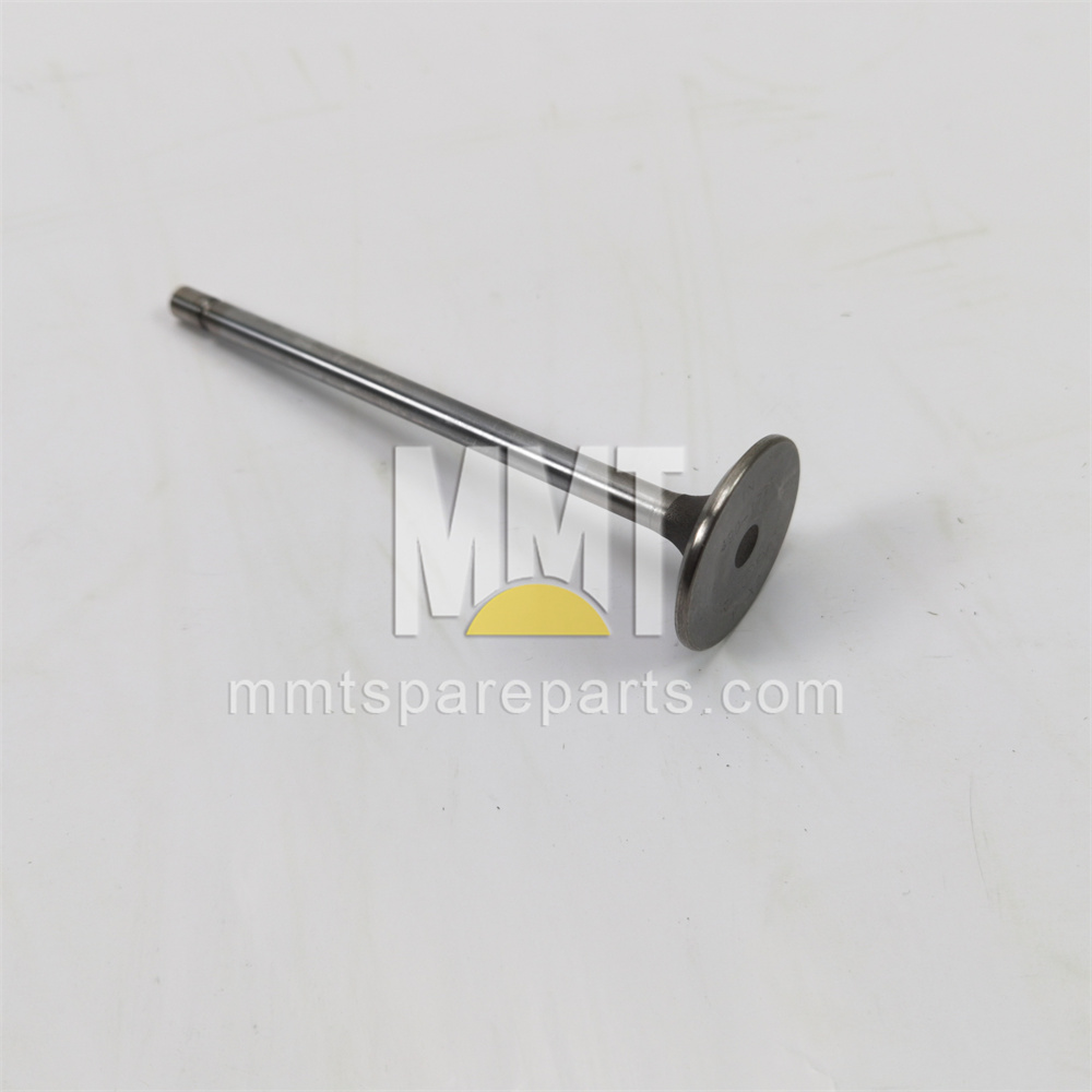 Exhaust Valve 490-1728