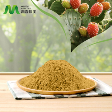 Revitalize Skin with Pure Cactus Extract Serum